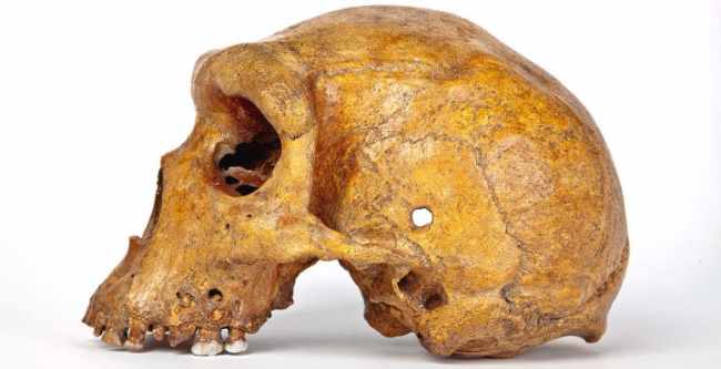 Broken Hill Man just one of those museum relics from poor countries