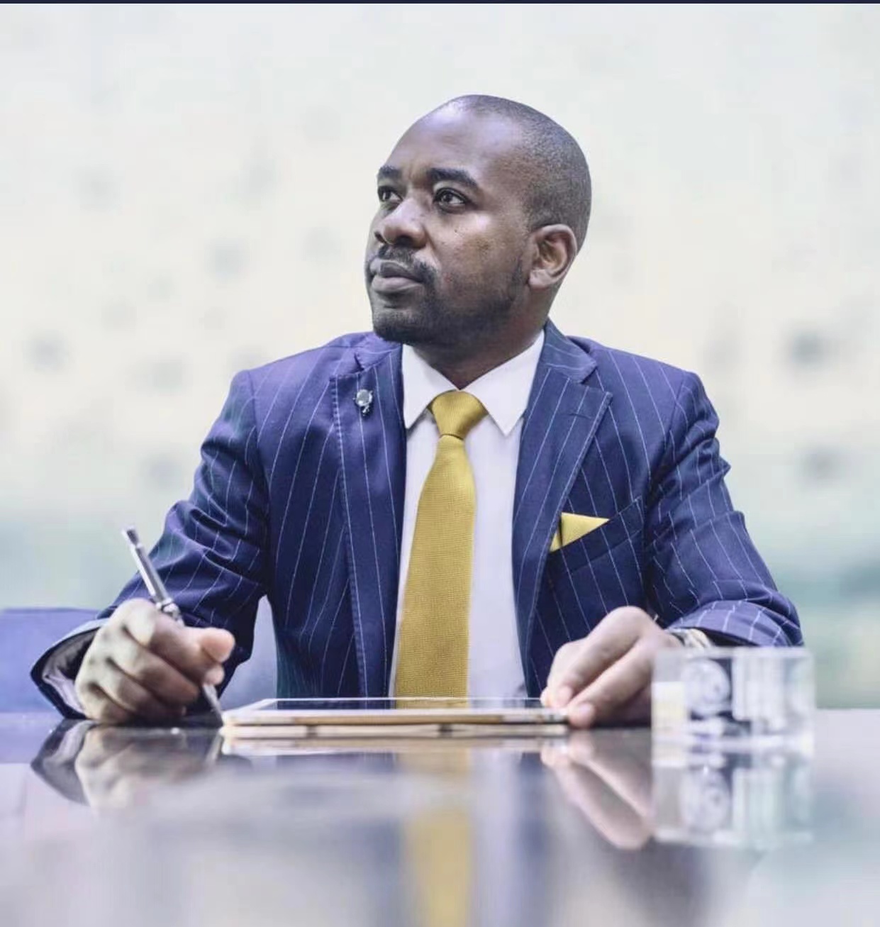 Chamisa pushes for electoral reforms 1 Nelson Chamisa